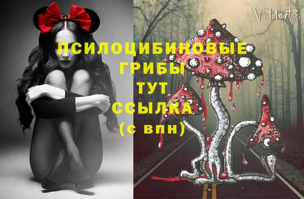 мет Михайловск