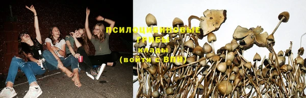 бошки Михайловка