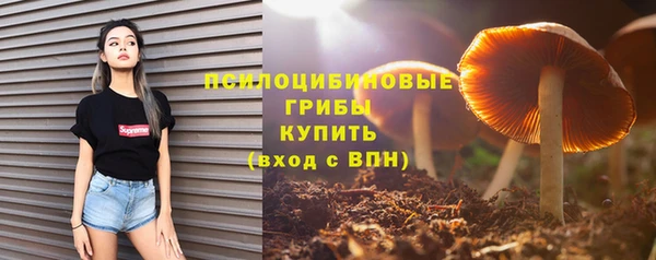 мет Михайловск