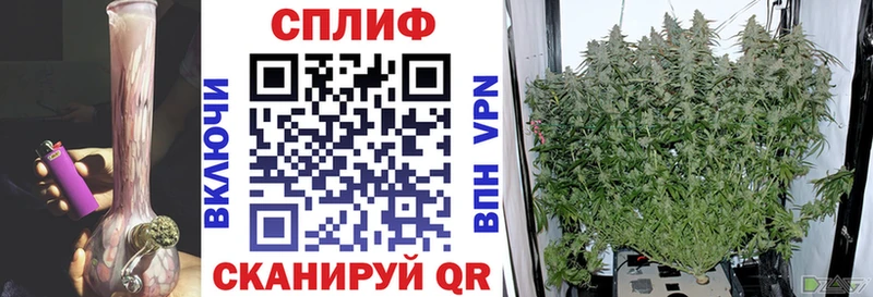 сколько стоит Тырныауз Конопля план